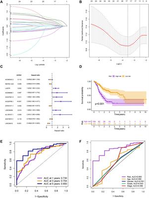 Identification of m6A-related long non-coding RNAs for predicting prognosis and immune characterizations in gastric cancer